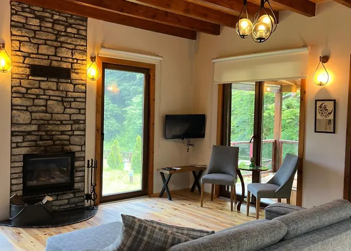 Lal Hayal Villa Sapanca