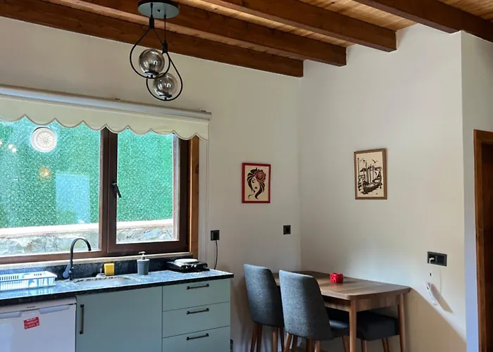 Lal Hayal Villa Sapanca